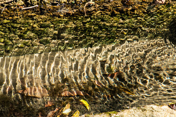 Clear, fresh spring water flowing into an old rustic stone trough in a sunny, quiet forest setting.