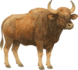Watercolor vector illustration of a gayal