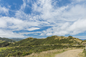 ニュージーランド　ウェリントンのスカイライン・ウォークウェイからの風景