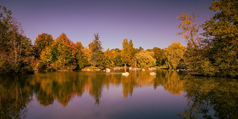Lovely park with autumn colors