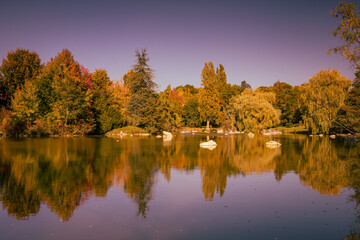Lovely park with autumn colors