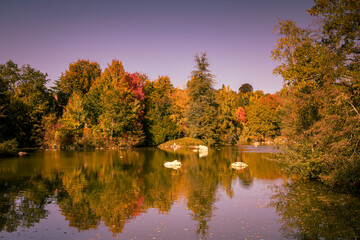 Lovely park with autumn colors