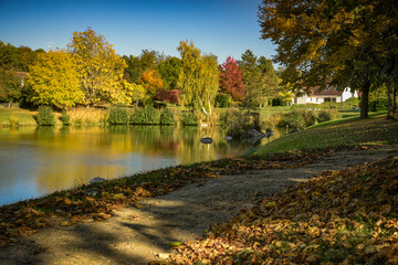Lovely park with autumn colors