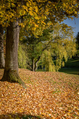 Lovely park with autumn colors