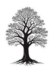 Obraz premium Silhouette of a bare, sprawling tree with intricate branches, against a stark white background