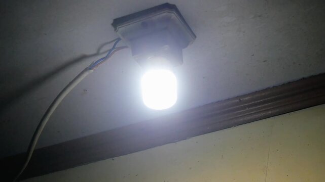 termites that swarm around the light of a lamp at night