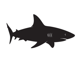 Fototapeta premium Silhouette of a great shark with gills and tail fin visible a animal ocean