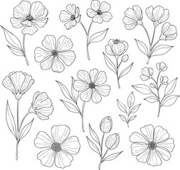 Handdrawn floral collection with various flowers leaves and stems in a simple black line art style.