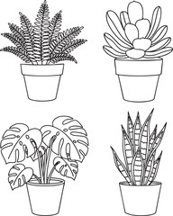 Set of four popular potted houseplants in a simple black and white line art style. © Vhya