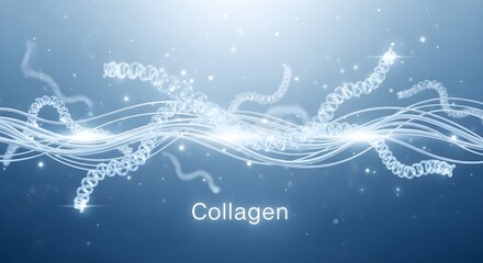 Abstract strands symbolize collagen peptides, highlighting their structural role.