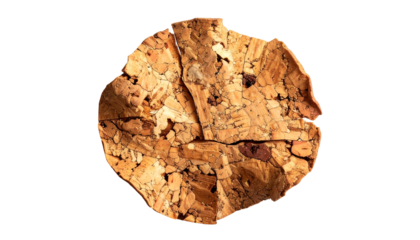 Close-up of a weathered cork from above. Its texture shows many details