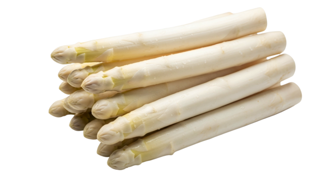 Fresh White Asparagus Stalks on Transparent Background for Culinary or Food Advertising