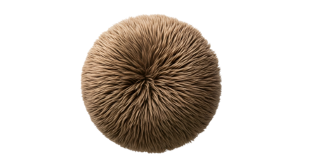 Round Brown Hair Bun Top View on Transparent Background