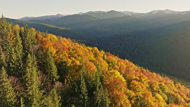 Autumn mountains forest travel nature view beautiful drone