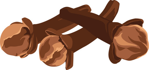Three clove spices, brown in color, are overlapping on a white background.