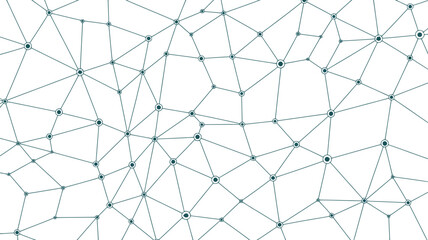 A network of interconnected lines and circles on a white background creating a complex web pattern
