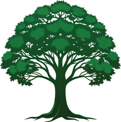 Obraz premium Vibrant green tree silhouette with detailed branches and full leaf canopy