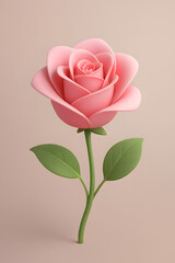 pink rose