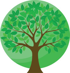 Obraz premium tree with green leaves