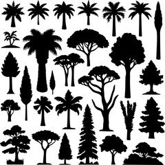 Tree Silhouette Vector Collection