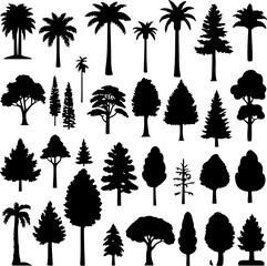 Tree Silhouette Vector Collection