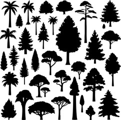 Tree Silhouette Vector Collection