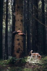 Fototapete bei efototapeten.de bestellen   