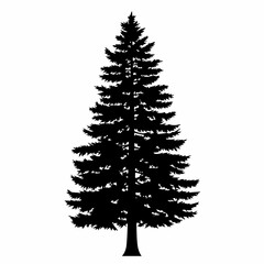 Silhouette Evergreen Pine Tree Illustration Forest Nature Isolated Symbol Graphic