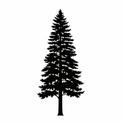 Silhouette Tall Evergreen Conifer Tree Illustration Isolated On White Background