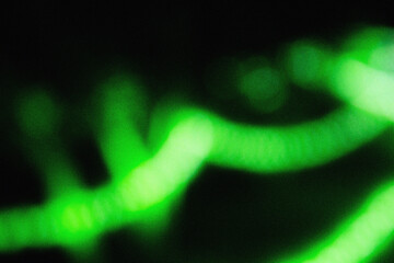 Soft green illumination with cinematic blur and grainy dust overlay, creating an elegant modern background texture for design, film, and digital art projects