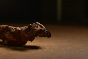 Driftwood - aquarium decoration, side view on a dark background