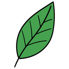 Hand-drawn cartoon green leaf on a white background.