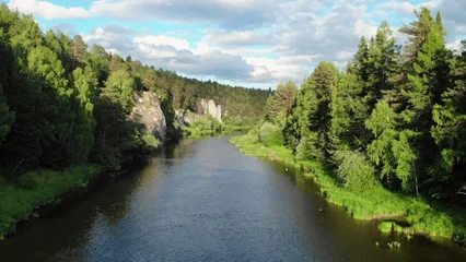 Fototapete Rund Wald Fluss Serene river flows through lush green forest landscape  © mediawhalelicensing 