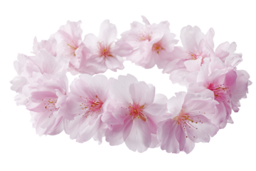 桜吹雪のイメージ