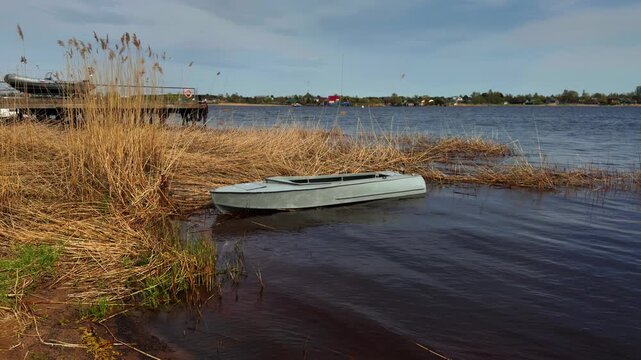 A tranquil, low-angle shot of a small, light gray dinghy partially pulled onto a sandy lake shore, nestled amongst tall, dry golden reeds and lush green grass. Bright yellow dandelions dominate the
