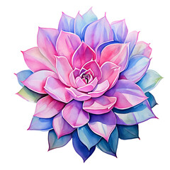 succulent, a beautiful indoor flower. watercolor drawing. artificial intelligence generator, AI, neural network image. background for the design