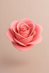 pink rose with heart