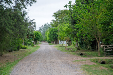 road in the park
