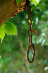 rusty chain and hook
