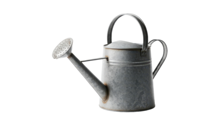 Rustic Galvanized Metal Watering Can with Dripping Water