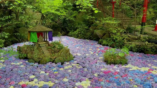 南蔵院のアジサイ池