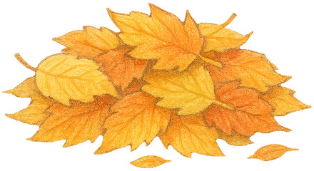 Fototapeta premium Pile of Autumn Leaves Illustration