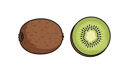 fresh kiwi fruit whole and sliced illustration