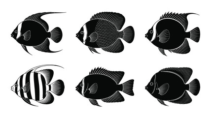 Set of six detailed tropical fish silhouettes vector illustration scalable icon for eps files vector illustration white background