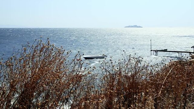 beach grasses in the wind and a lonely boat in the sea