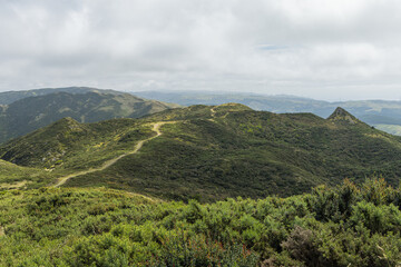 ニュージーランド　ウェリントンのスカイライン・ウォークウェイの風景