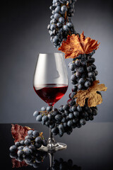 Glass of red wine with blue grapes on a black reflective background.
