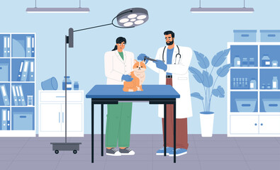 Cute cat in vet office. Doctor appointment, professionals examine pet, veterinary clinic, therapy center for animals, vector illustration