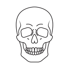 White Skull Line Art Vector Illustration Halloween Graphic Death Skeleton Symbol Danger Bone Gothic Scary Anatomy Tattoo