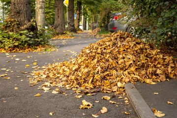 Pile of dry yellow leaves on sidewalk in city street near trees and parked cars.